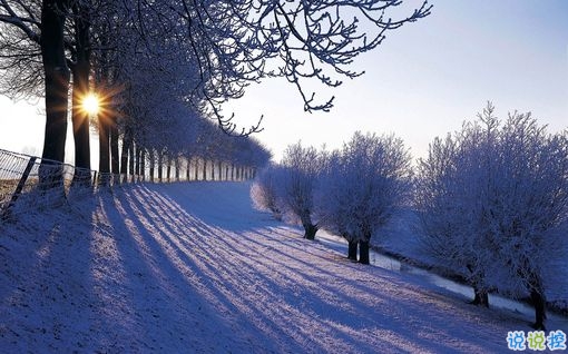 適合朋友圈發(fā)自拍的文案 女生發(fā)自拍的配文獨特有趣13
