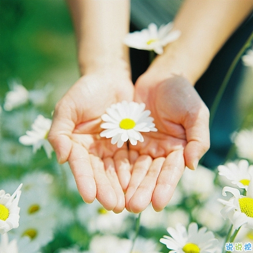 優(yōu)美說說唯美的句子配圖：海底月是天上月，只是鏡花水月5