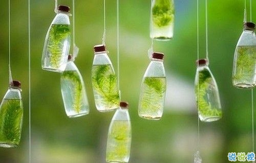 在生活中慢慢明白的經(jīng)典哲理句子 一段很現(xiàn)實的句子1