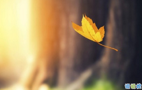 今日立秋圖片說說2018最新版 立秋的經(jīng)典說說帶圖片精選12