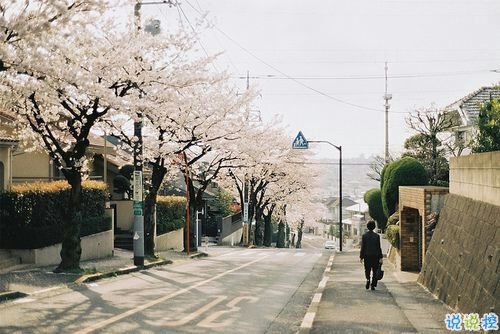 2019非主流經(jīng)典愛情說說帶圖片 很打動人的一些愛情真理7