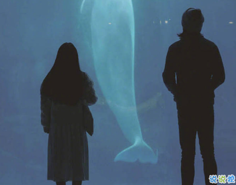 微博說(shuō)說(shuō)說(shuō)到心坎上帶圖片 總有這么一個(gè)人會(huì)讓你毫無(wú)原因地笑起來(lái) ?6