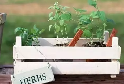 村上春樹經(jīng)典語錄大全，句句戳中你的內(nèi)心2