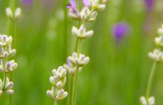 在夢(mèng)里也會(huì)潸然淚下的說(shuō)說(shuō)帶圖 如果時(shí)光倒流峩捫能抓得住什么5