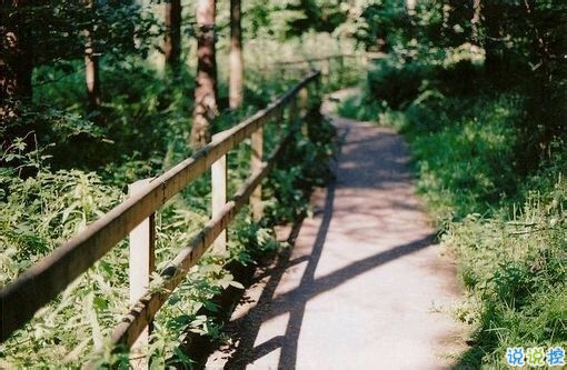 偶然看見的一句話可以打動(dòng)你心 很經(jīng)典的愛情說(shuō)說(shuō)大全20181