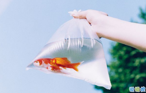 一個(gè)人孤獨(dú)的說說圖片 qq孤獨(dú)傷感說說配圖最新版7