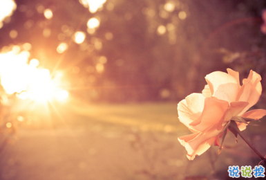 2019四月你好微信唯美說說帶圖片 3月再見4月你好心情短語7