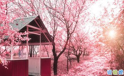 唯美時(shí)尚愛情說說帶圖片 很好看的唯美愛情說說精選2