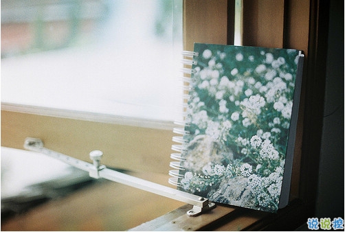 關(guān)于現(xiàn)實的人生感悟帶圖片 27條值得收藏和學(xué)習(xí)的經(jīng)典說說大全4