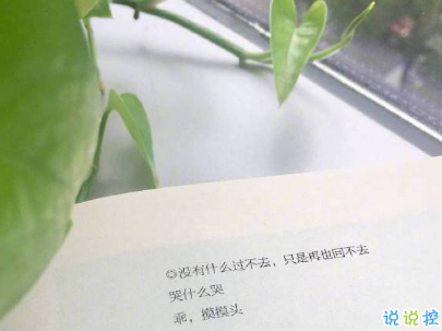 微信個(gè)性說(shuō)說(shuō)簡(jiǎn)短帶圖片 很不一樣的微信說(shuō)說(shuō)精選14