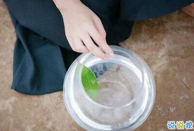 承蒙你出現，夠我喜歡好多年1