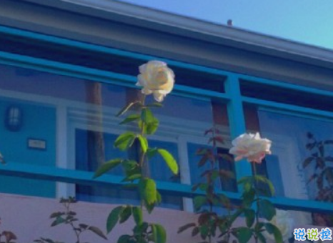 女生現(xiàn)實(shí)霸氣個(gè)性說(shuō)說(shuō)配圖大全 最新最酷女生個(gè)性說(shuō)說(shuō)帶圖片12