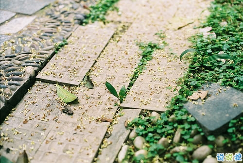 感悟人生的正能量句子帶圖片 你走過的彎路都是通向正軌的必經之路14