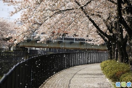 感悟生活的早安心情說(shuō)說(shuō) 陽(yáng)光這么好別辜負(fù)了今天8