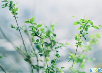 致自己的一句話個(gè)性說說帶圖片 想要訴說自己心情的說說13