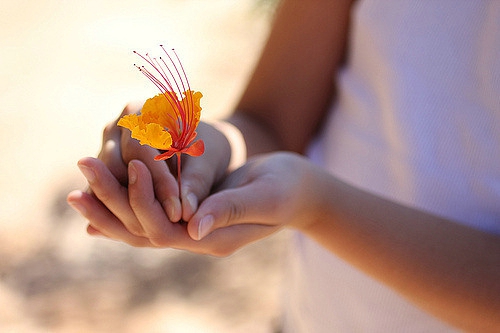 關于夏天的唯美文藝說說帶圖片 夏有彤云蔚然成風13