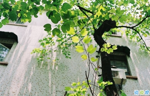 2018失落傷感后的圖片說(shuō)說(shuō) 帶有治愈系的傷感說(shuō)說(shuō)配圖14