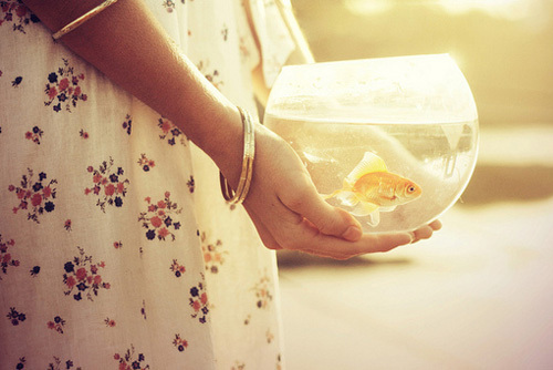 超經(jīng)典的關(guān)于人生和成長的激勵你前行的正能量說說帶圖片6