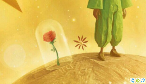 經(jīng)典小王子中的有哲理而又簡單的句子 如果你被一朵花馴養(yǎng)8