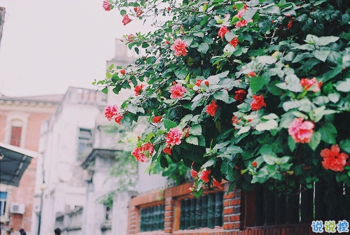 2019最新經(jīng)典說(shuō)說(shuō)給人希望 激勵(lì)人心的經(jīng)典說(shuō)說(shuō)帶圖片4