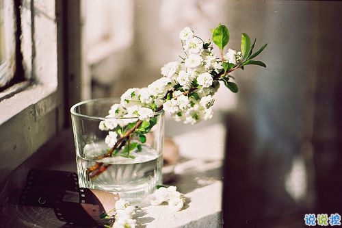 最新朋友圈經(jīng)典說說2019精選 好聽的微信經(jīng)典說說1