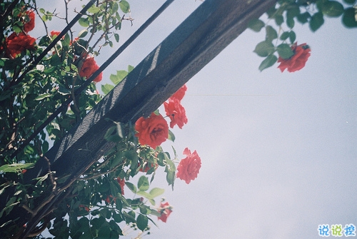 時間讓我們成長成熟的有些難過的傷感說說 生活很現(xiàn)實(shí)的成長傷感說說1