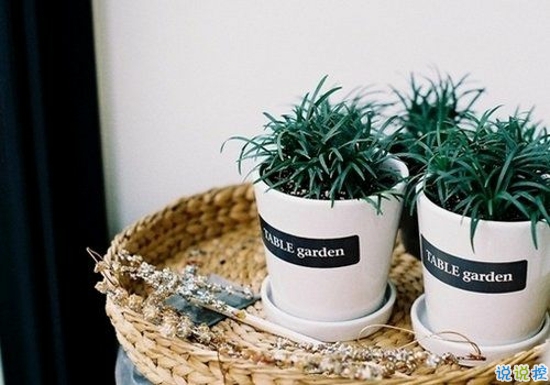 2019最新經(jīng)典愛情說說大全 愛情勵(lì)志的話簡短精辟1