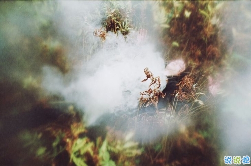 適合發(fā)朋友圈的經(jīng)典勵(lì)志說(shuō)說(shuō)帶圖片 太經(jīng)典的哲理說(shuō)說(shuō)大全配圖4