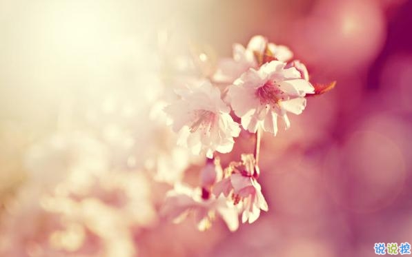 2019最佳表白情話大全簡(jiǎn)短撩人 表白情話真實(shí)點(diǎn)感動(dòng)人的1