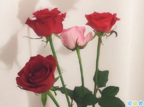 女生現(xiàn)實(shí)霸氣個(gè)性說(shuō)說(shuō)配圖大全 最新最酷女生個(gè)性說(shuō)說(shuō)帶圖片14