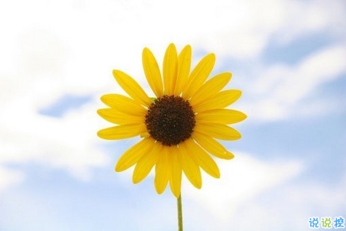 男生霸氣勵志說說2019精選 有深度有內涵的男生說說13