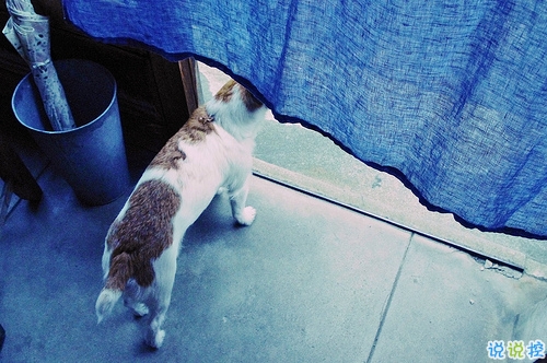 2019豬年除夕祝福語說說簡(jiǎn)短 致所有人的豬年暖心祝福1