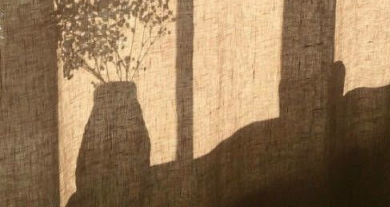 忽而夏至的悲傷日記的傷感說(shuō)說(shuō)配圖 你最美的青春都在陪他吃苦8