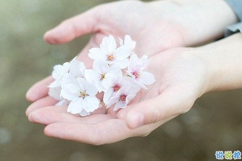 唯美簡單的英文說說帶圖片 世人萬千種浮云莫去求8