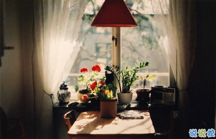 關(guān)于愛(ài)情的唯美說(shuō)說(shuō)2018最新說(shuō)說(shuō) 很唯美的愛(ài)情說(shuō)說(shuō)寫(xiě)給對(duì)象2