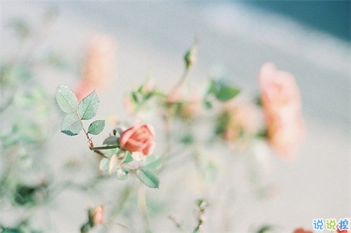 真心愛一個人的說說帶圖片 自從遇見你人生苦短甜長2