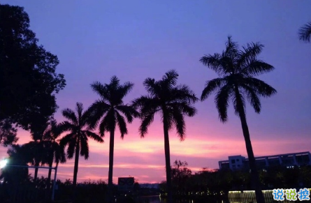 抖音比水還干凈的句子帶圖片精選14條 簡單又干凈的唯美說說配圖6