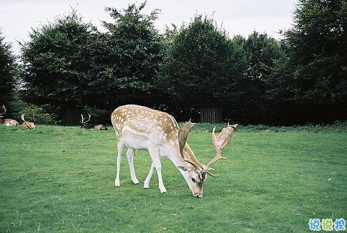 男生霸氣說(shuō)說(shuō)帶圖片致自己 微信霸氣說(shuō)說(shuō)男生干練灑脫11