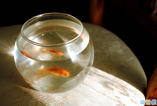 值得收藏的人生大道理勵(lì)志說(shuō)說(shuō)帶圖片 好聽(tīng)的激勵(lì)人心的說(shuō)說(shuō)配圖15