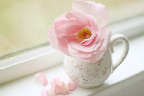 很含蓄唯美的藏頭詩說說帶圖片文字控會很喜歡8