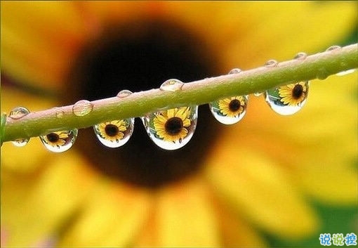 好聽的一句話愛情句子2019 傷感的愛情句子一句話簡(jiǎn)單明了1