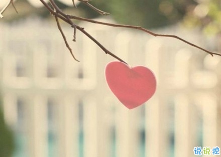 感悟生活的早安心情說(shuō)說(shuō) 陽(yáng)光這么好別辜負(fù)了今天6