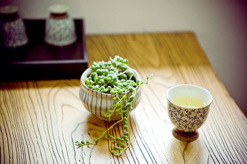 2019清明節(jié)的說說心情短語 清明節(jié)朋友圈唯美說說大全2