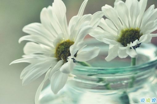 戀愛(ài)中的唯美心情說(shuō)說(shuō)帶圖片 遇到對(duì)的人感到幸福的說(shuō)說(shuō)11