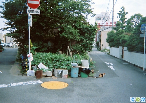 那些和青春夏天有關的唯美簡單小清新圖片句子 陽光傾落風雨都不舍1