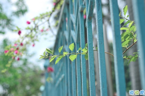 有些傷感的關(guān)于人生和成長(zhǎng)的說說帶圖片 生活的本質(zhì)就是離別9