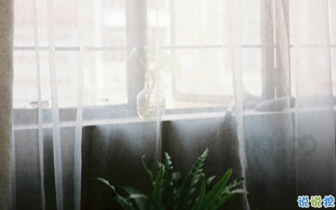 愛情中關(guān)于等待的句子和圖片 白茶清歡無別事我在等風(fēng)也等你3