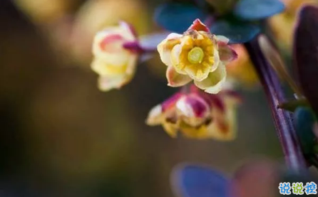 2019送給自己的一句話勵志 新的開始送給自己的一句話簡短3