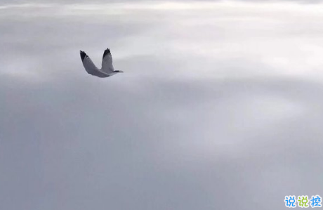 唯美說說配圖傷感篇2018：年紀(jì)大了只想跟相處不累的人在一起9