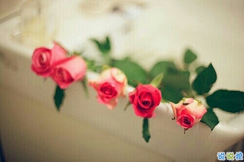 抖音最火經(jīng)典說說致自己 最新個(gè)人說說經(jīng)典勵(lì)志帶圖片5